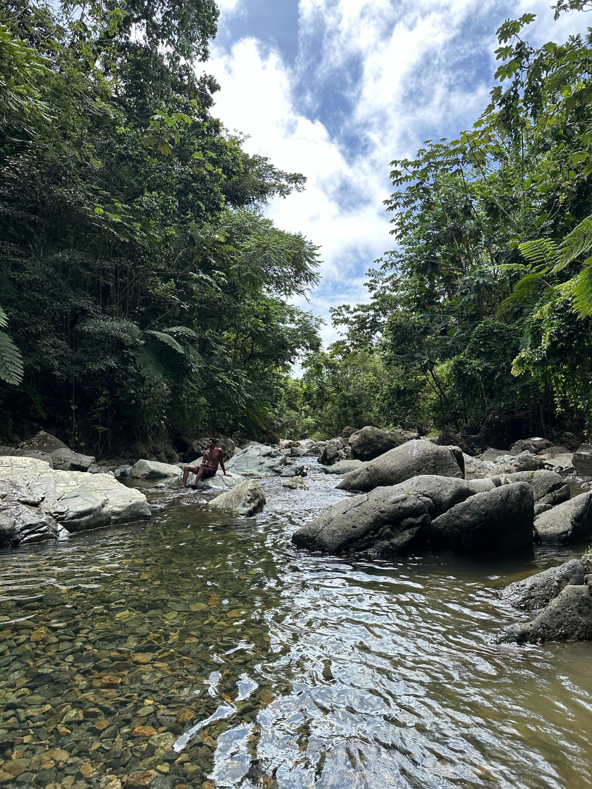 Crystal clear natural swimming pool in El Yunque Rainforest Puerto Rico