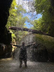 El Yunque Rainforest Tours with Transportation