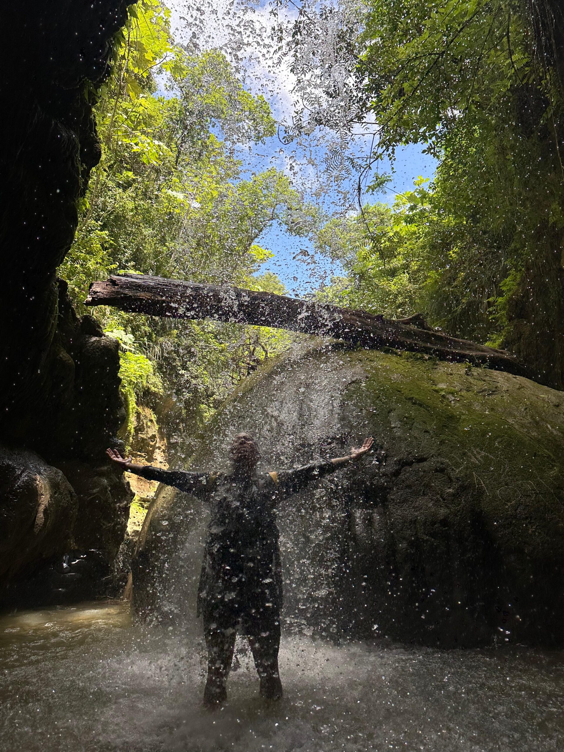 El Yunque Rainforest Tours with Transportation