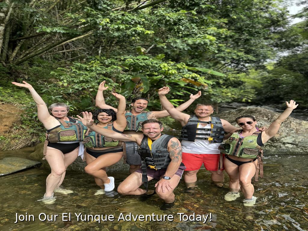 Group enjoying El Yunque Rainforest tour in Puerto Rico