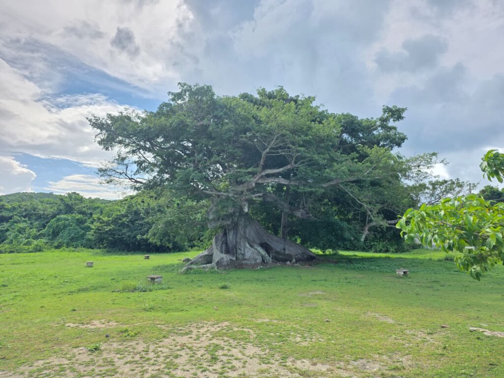 Vieques 3-day itinerary