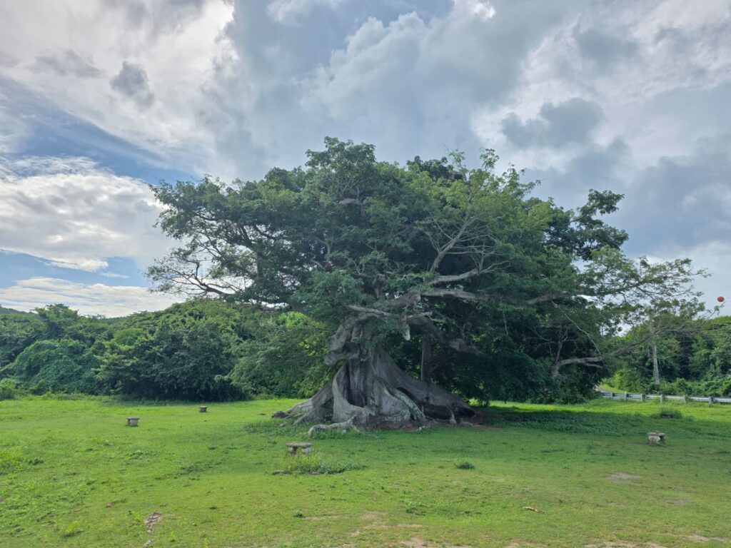 Vieques 3-day itinerary