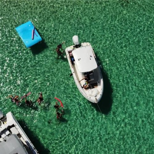 WhatsApp Image 2026-02-25 at 18.07.24 (3)